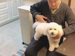 -PETKIT小佩宠物·低压洗护(国顺东路店)