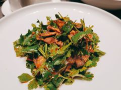 香菜拌牛肉-徐记海鲜(汉城湖|太奥店)