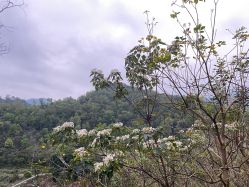 -厦门美莱整形美容医院