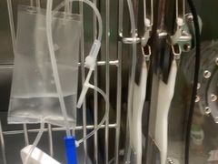 -半岛宠物医院24小时(白果林店)
