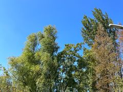 -昆山城市生态森林公园