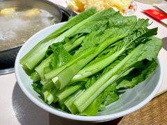 潮汕春菜苗-汕头八合里海记牛肉店(清河店)