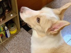 -豆舞咖啡(民乐路店)