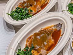 -新光酒家·河豚·海鲜·蟹料理(浦东店)