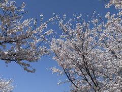 -长田漾湿地公园