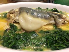 秧草河豚-东方大酒楼(万科店)