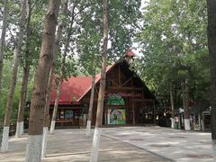 -合肥滨湖国家森林公园