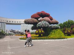 -国家动漫园