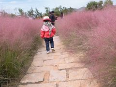 -羊亭河湿地公园