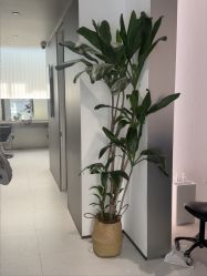 -JIE FLYING·烫发·染发