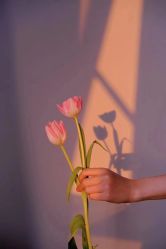 -Cream88颜皮肤管理中心