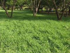 -长春公园(普阳街道)