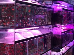 -三旗百汇商品城