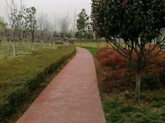 -洨河生态公园