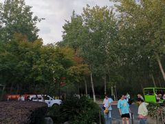 -合肥滨湖国家森林公园