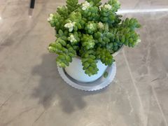 -船歌·鱼水饺青岛菜(石老人店)