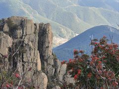 -白草畔自然风景区