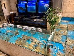 水产区-菲乐餐厅(三十年经营·湖滨路店)