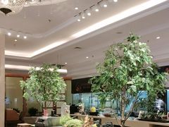 -锦粤宫·精致粤菜(深圳北站店)