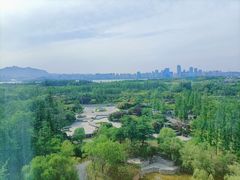 -青岛银沙滩温德姆至尊酒店