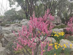 -无锡梅园公园