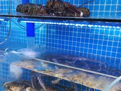 -前王院•巧克力海鲜市集餐厅(万平口店)