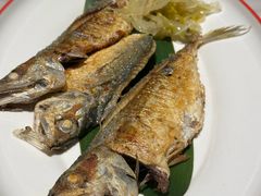 -码头见·潮汕菜(领展中心城店)