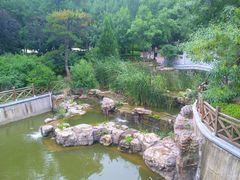 -迎泽公园