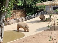 -泉州海丝野生动物世界