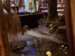 -淀里船宴(卓达店)