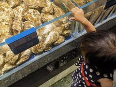 -青蓬蒸汽海鲜·深圳老字号·团建聚会(壹方城店)