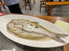 清蒸白丝鱼-沈厅酒家(周庄店)