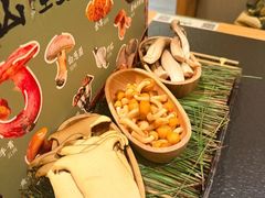 -季季山·云南野生菌火锅(上海首店)