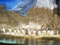 -成都浩海立方海洋公园