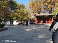 -百脉泉景区