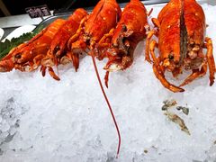 波士顿龙虾-都会尚膳·海鲜自助餐厅(重庆万豪酒店)
