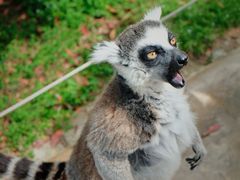 -杭州野生动物世界