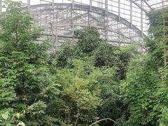 -南山植物园
