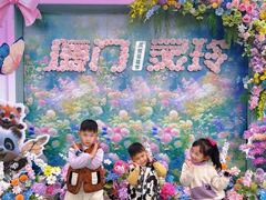 -灵玲国际马戏城