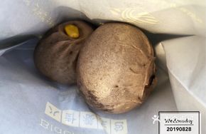 Shiitake Pork Dumpling