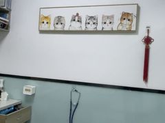 -嘉馨宠物医院·CT影像转诊·心脏科·犬猫全科诊疗中心(下沙大学城院区)