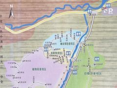 -汤旺河林海奇石景区