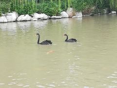 -北戴河圣蓝海洋公园