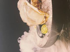 -黑松白鹿(崇文门新活馆店)