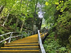 -五营红松林海景区