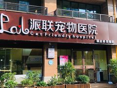 -派联宠物医院·24h·CT·异宠