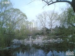 -紫竹院公园冰场