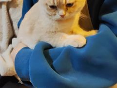-平行世界·猫咖(首经贸店)