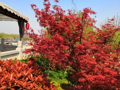 -西安汉城湖景区