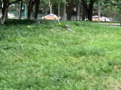 -后襄河公园